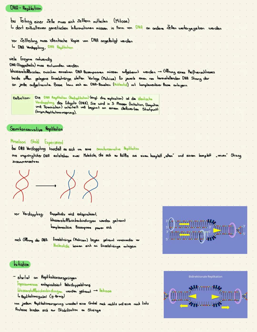 Themen:
Aufbau DNA (Replikation),
Protein biosynthese.
Transkription,
Translation,
Mutationen,
Genregulation
DNA Aufbau
Desoxyribonucleinsäu