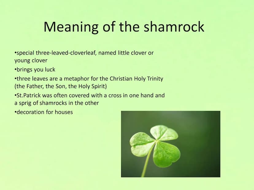 Saint Patrick-
The patron saint of Ireland
PARKIN
Mc MAHON
DAR
TO
RIGHT LANE
RIGHT LAKE
BUSES &
FIGAT TERING
OPEN
ONE
WAY
LE ●
●
●
●
St. Pat