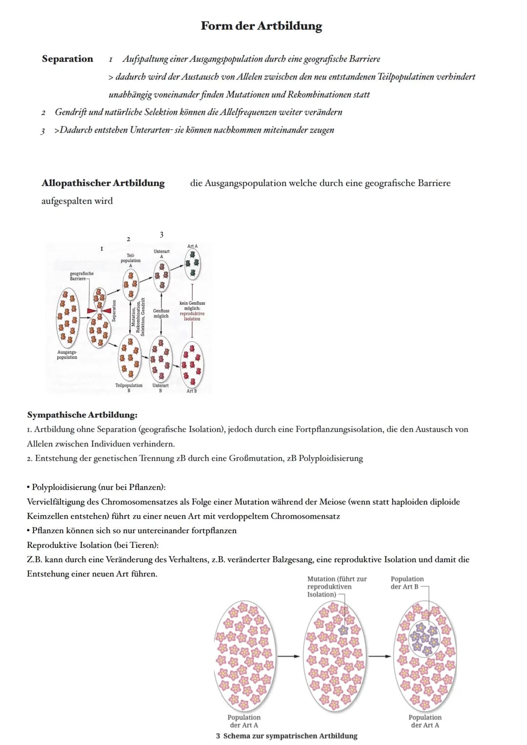 Selektion:
Selektionsfaktor:
Selektionsdruck:
Mutationen:
Reproduktive Fitness: die Fähigkeit eines Organismus im Vergleich zu anderen, sein
