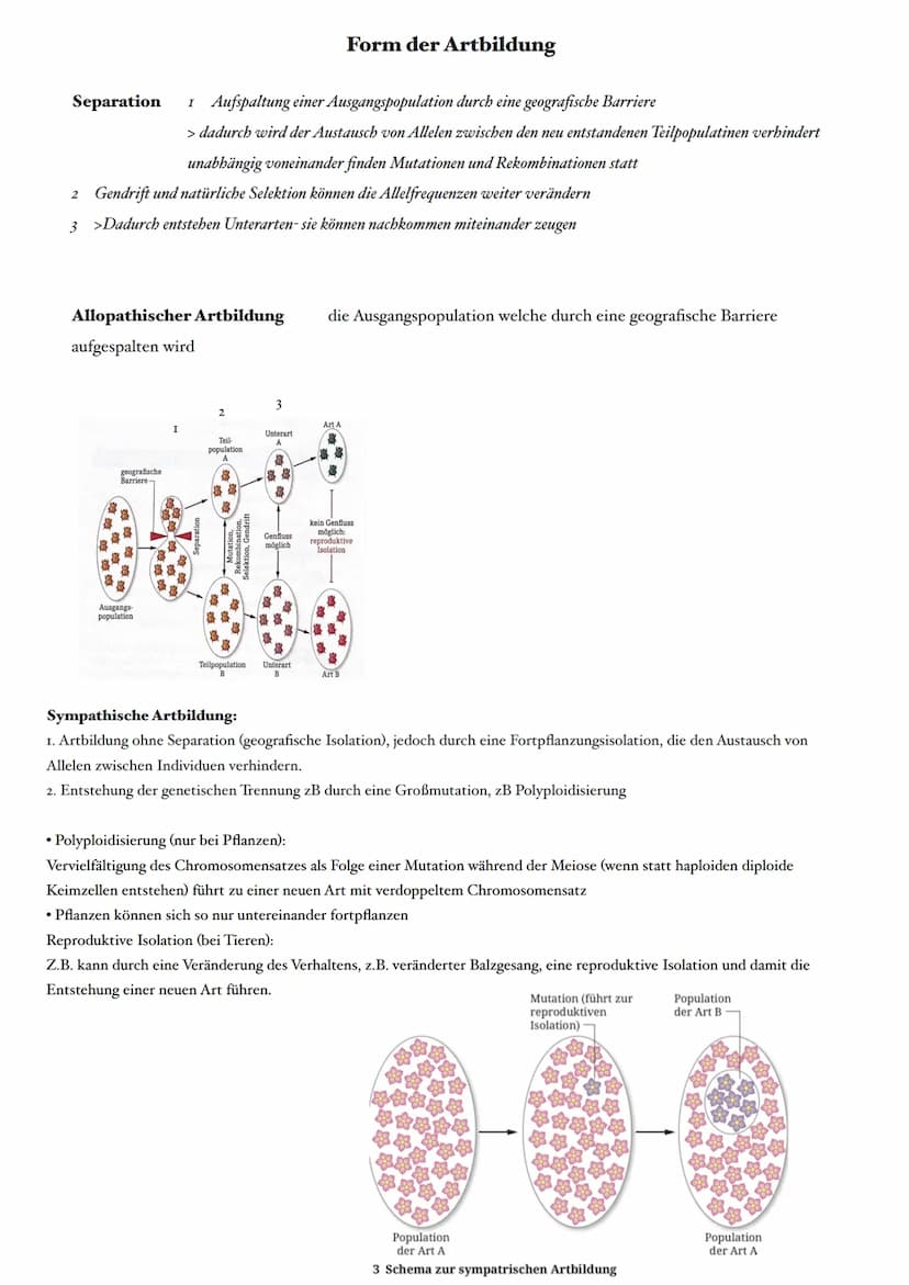 Selektion:
Selektionsfaktor:
Selektionsdruck:
Mutationen:
Reproduktive Fitness: die Fähigkeit eines Organismus im Vergleich zu anderen, sein