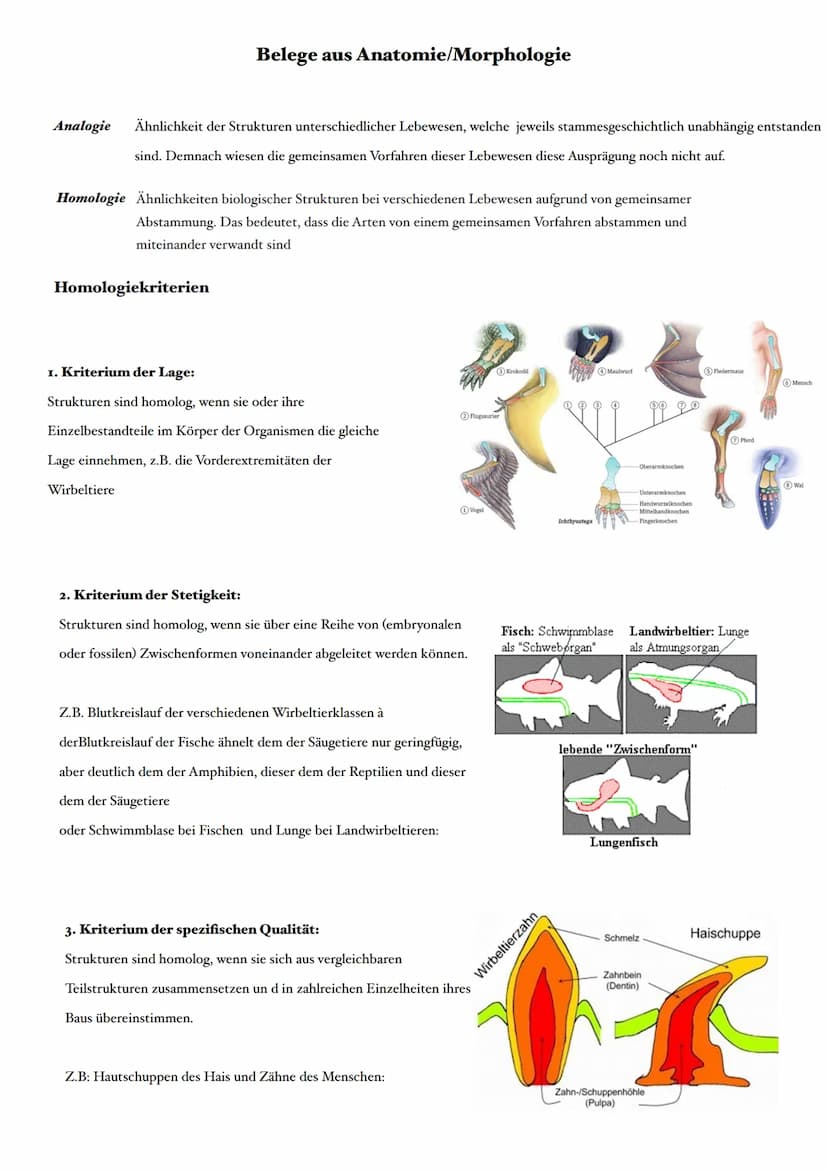 Selektion:
Selektionsfaktor:
Selektionsdruck:
Mutationen:
Reproduktive Fitness: die Fähigkeit eines Organismus im Vergleich zu anderen, sein