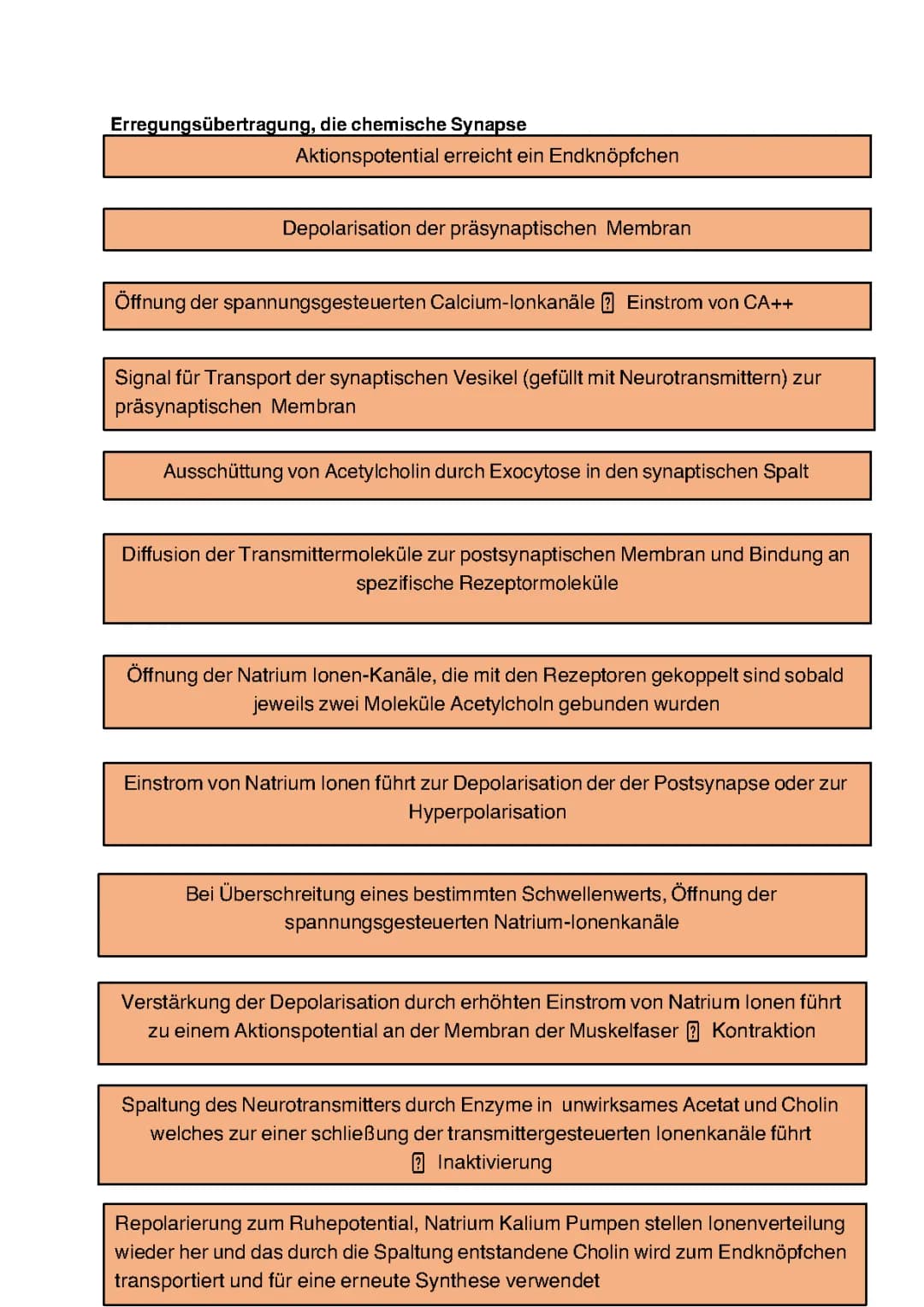EPSP und IPSP