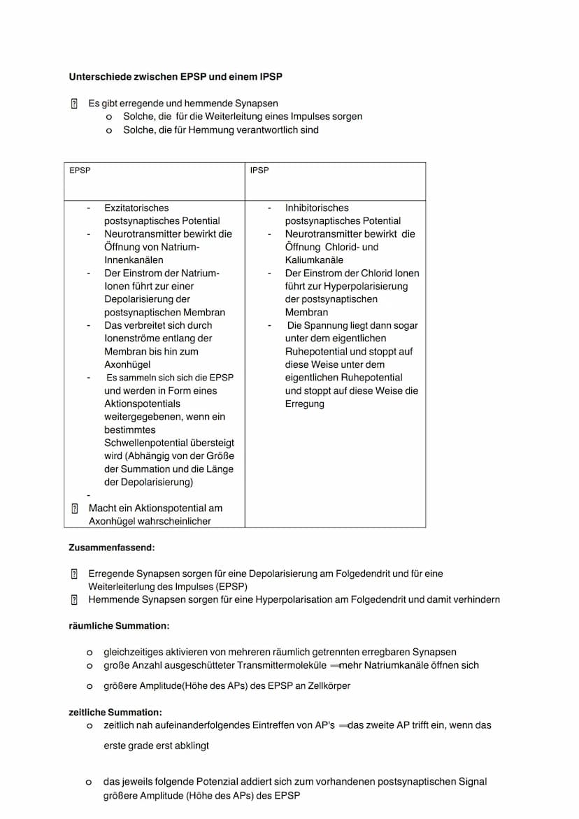 Erregungsübertragung, die chemische Synapse
Aktionspotential erreicht ein Endknöpfchen
Depolarisation der präsynaptischen Membran
IIII
Öffnu