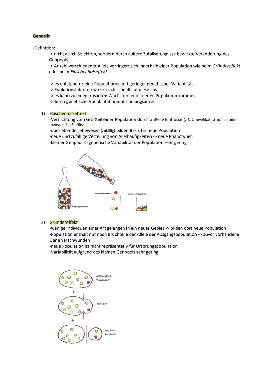 Gendrift
-Definition:
-> nicht durch Selektion, sondern durch äußere Zufallsereignisse bewirkte Veränderung des
Genpools
-> Anzahl verschied
