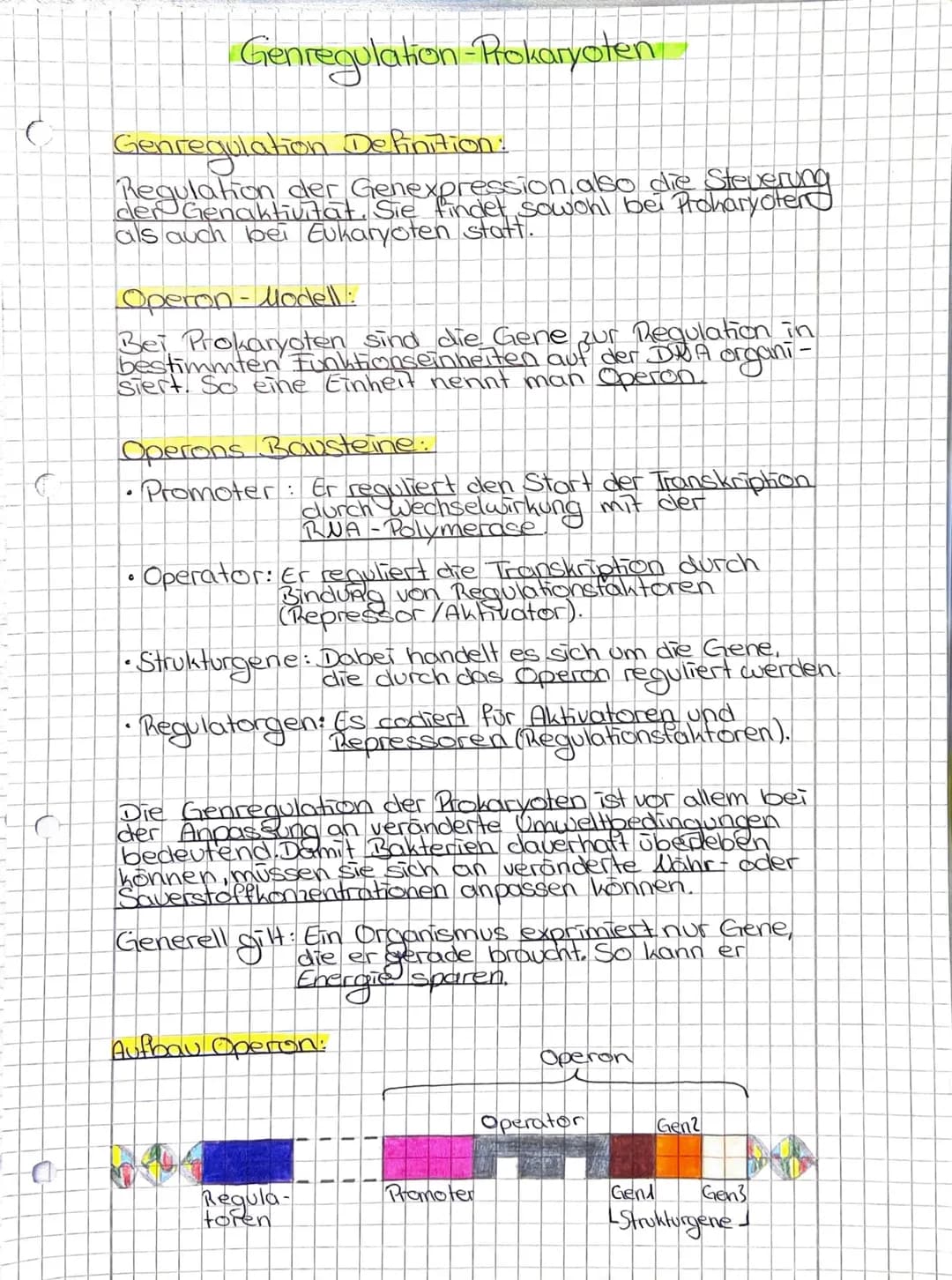 Genregulation Prokaryoten
Genregulation Definition:
Regulation der Genexpression also die Steuerung
der Genaktivitat. Sie findet sowohl bei 