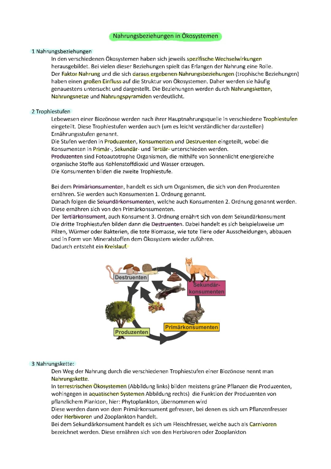 Nahrungsbeziehungen in Ökosysteme 