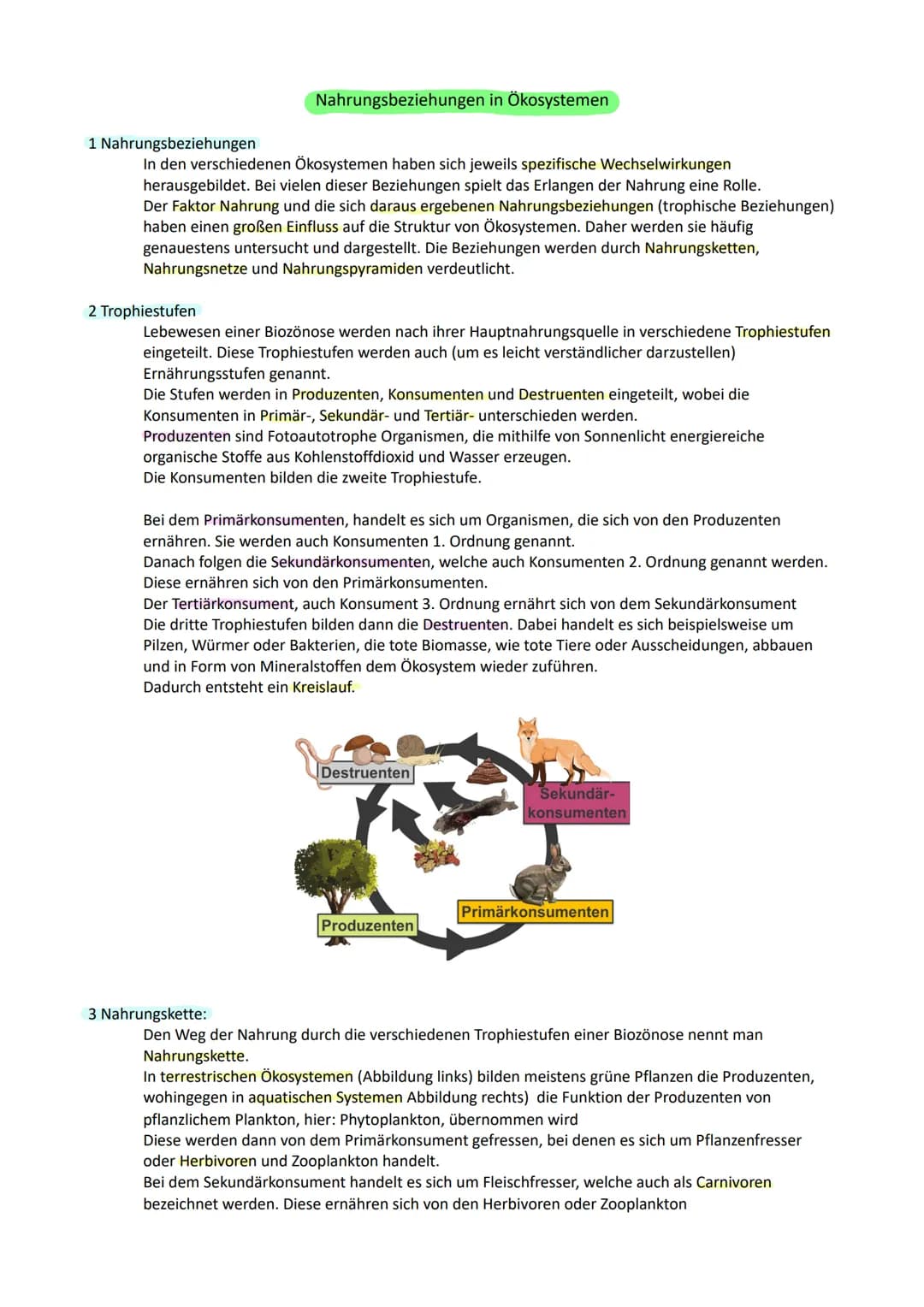 Nahrungsbeziehungen in Ökosystemen
1 Nahrungsbeziehungen
In den verschiedenen Ökosystemen haben sich jeweils spezifische Wechselwirkungen
he