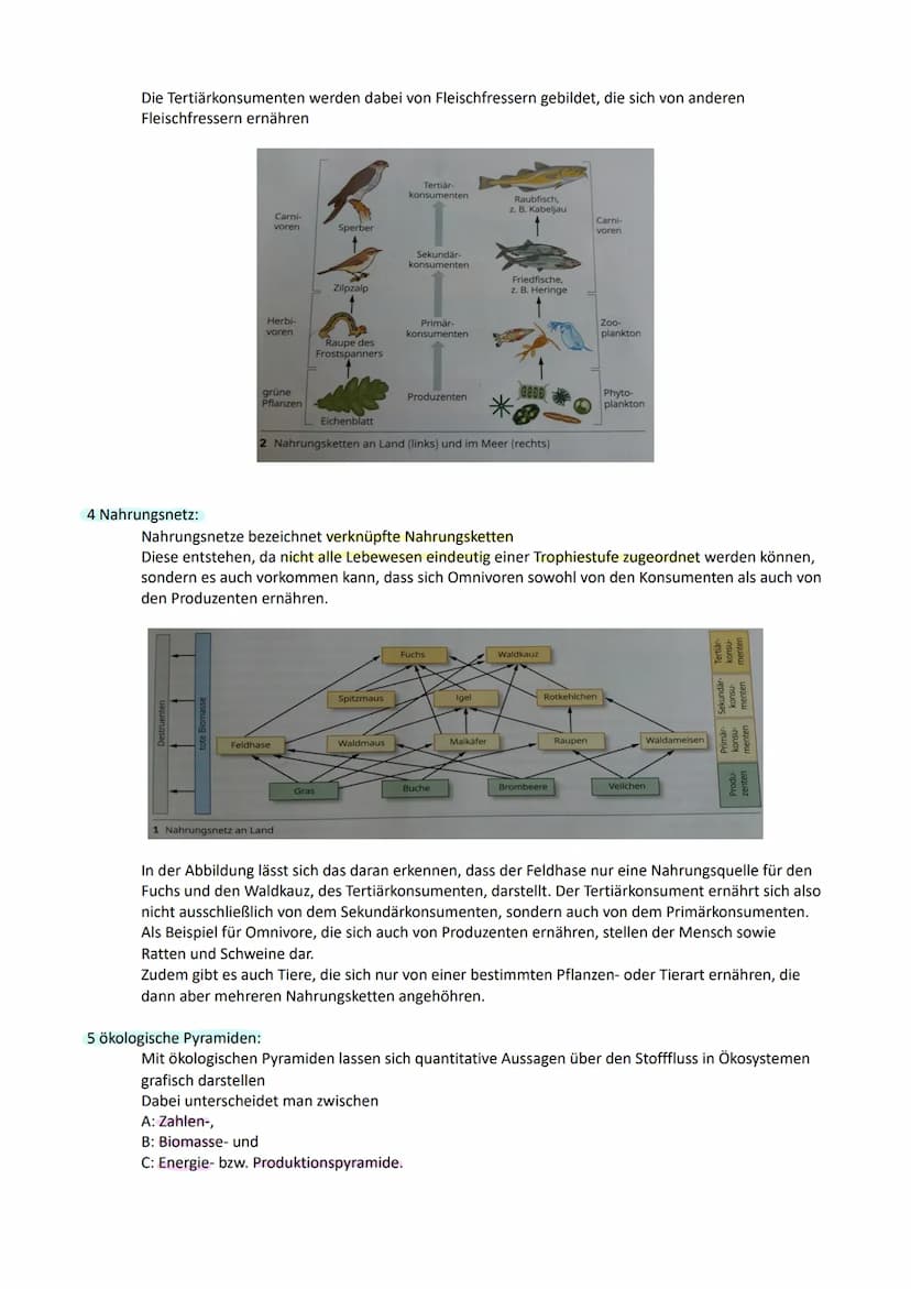 Nahrungsbeziehungen in Ökosystemen
1 Nahrungsbeziehungen
In den verschiedenen Ökosystemen haben sich jeweils spezifische Wechselwirkungen
he