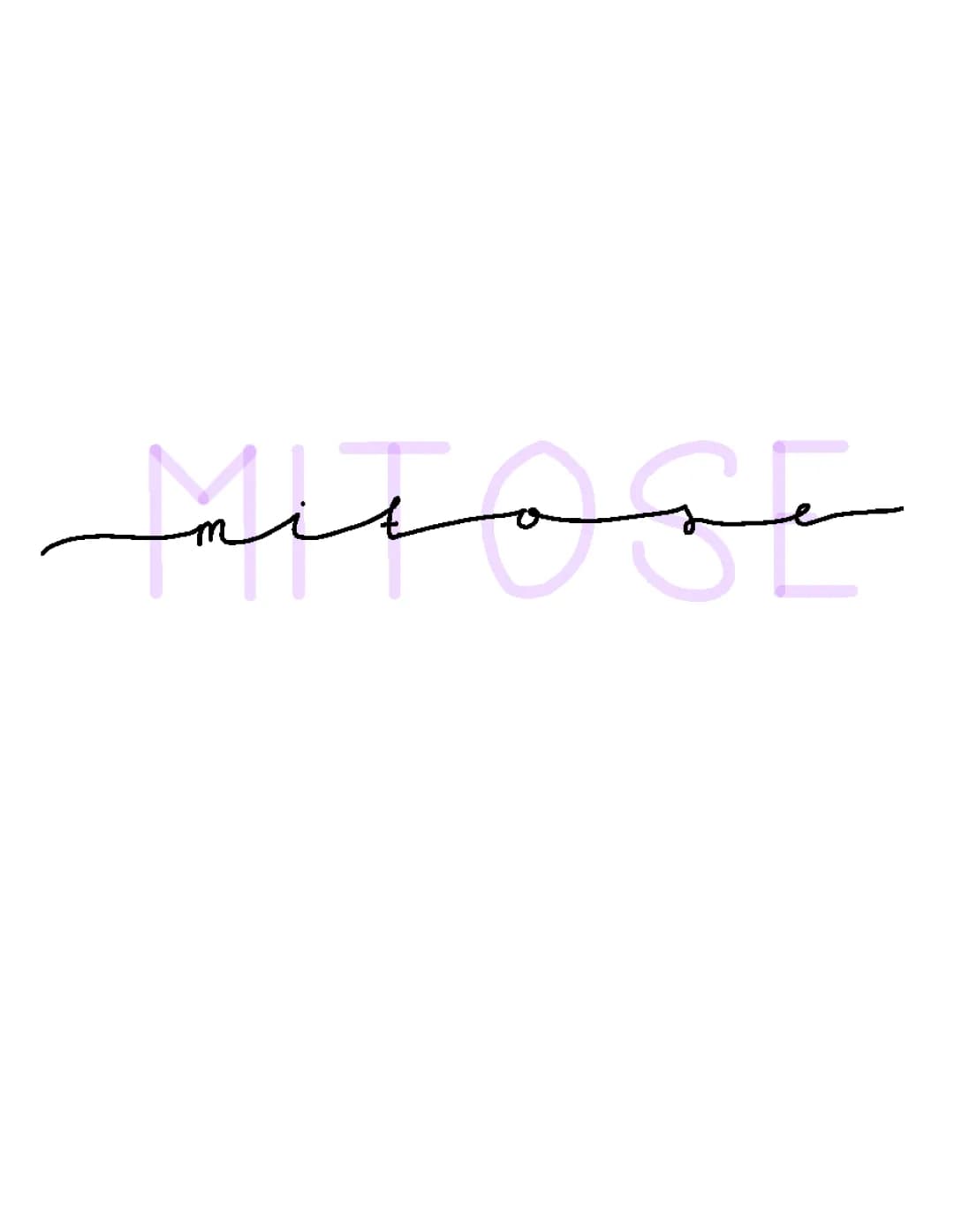 Mitose
