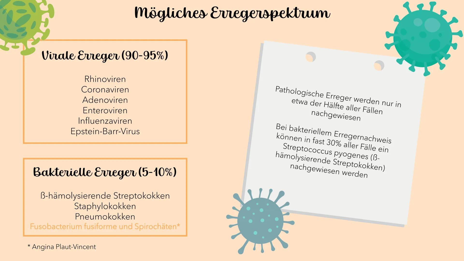 Akute Tonsillitis
MANDELENTZÜNDUNG
010020 Was versteht man unter einer akuten Tonsillitis?
Unter der akuten Tonsillitis versteht man eine ak