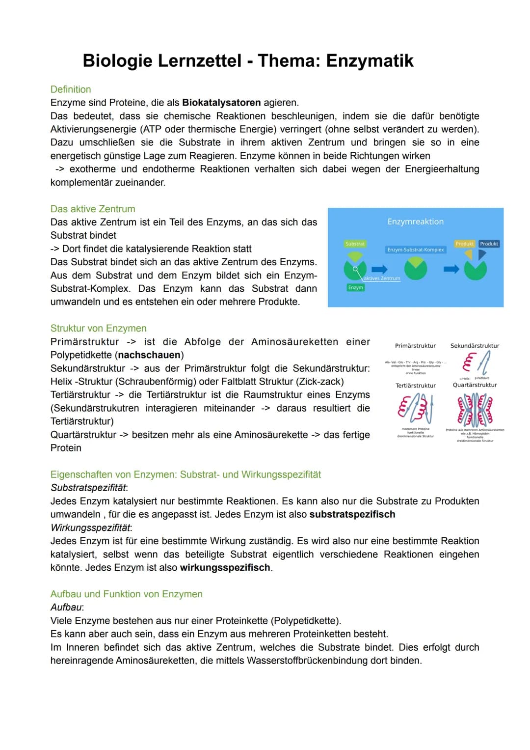 Biologie Lernzettel - Thema: Enzymatik
Definition
Enzyme sind Proteine, die als Biokatalysatoren agieren.
Das bedeutet, dass sie chemische R