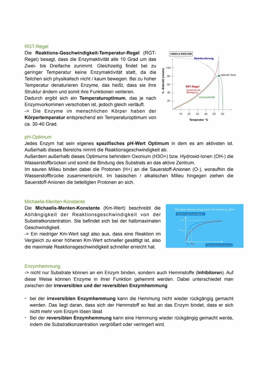 Biologie Lernzettel - Thema: Enzymatik
Definition
Enzyme sind Proteine, die als Biokatalysatoren agieren.
Das bedeutet, dass sie chemische R