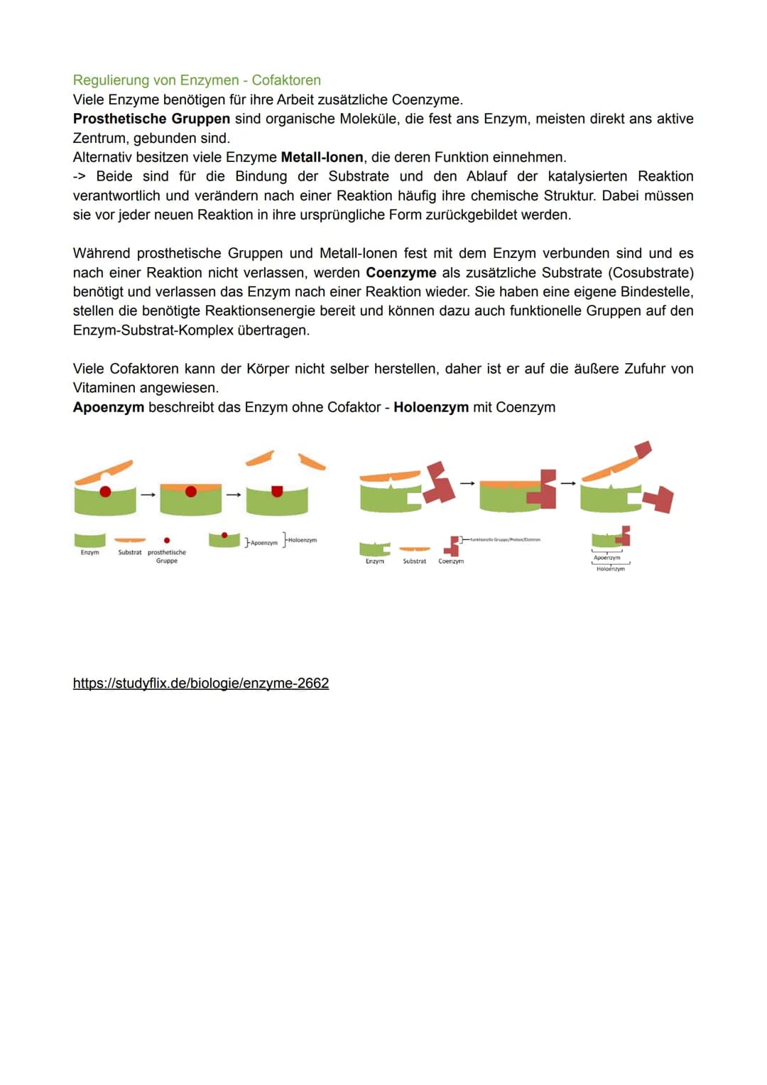 Biologie Lernzettel - Thema: Enzymatik
Definition
Enzyme sind Proteine, die als Biokatalysatoren agieren.
Das bedeutet, dass sie chemische R