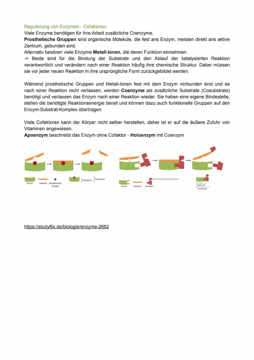 Biologie Lernzettel - Thema: Enzymatik
Definition
Enzyme sind Proteine, die als Biokatalysatoren agieren.
Das bedeutet, dass sie chemische R