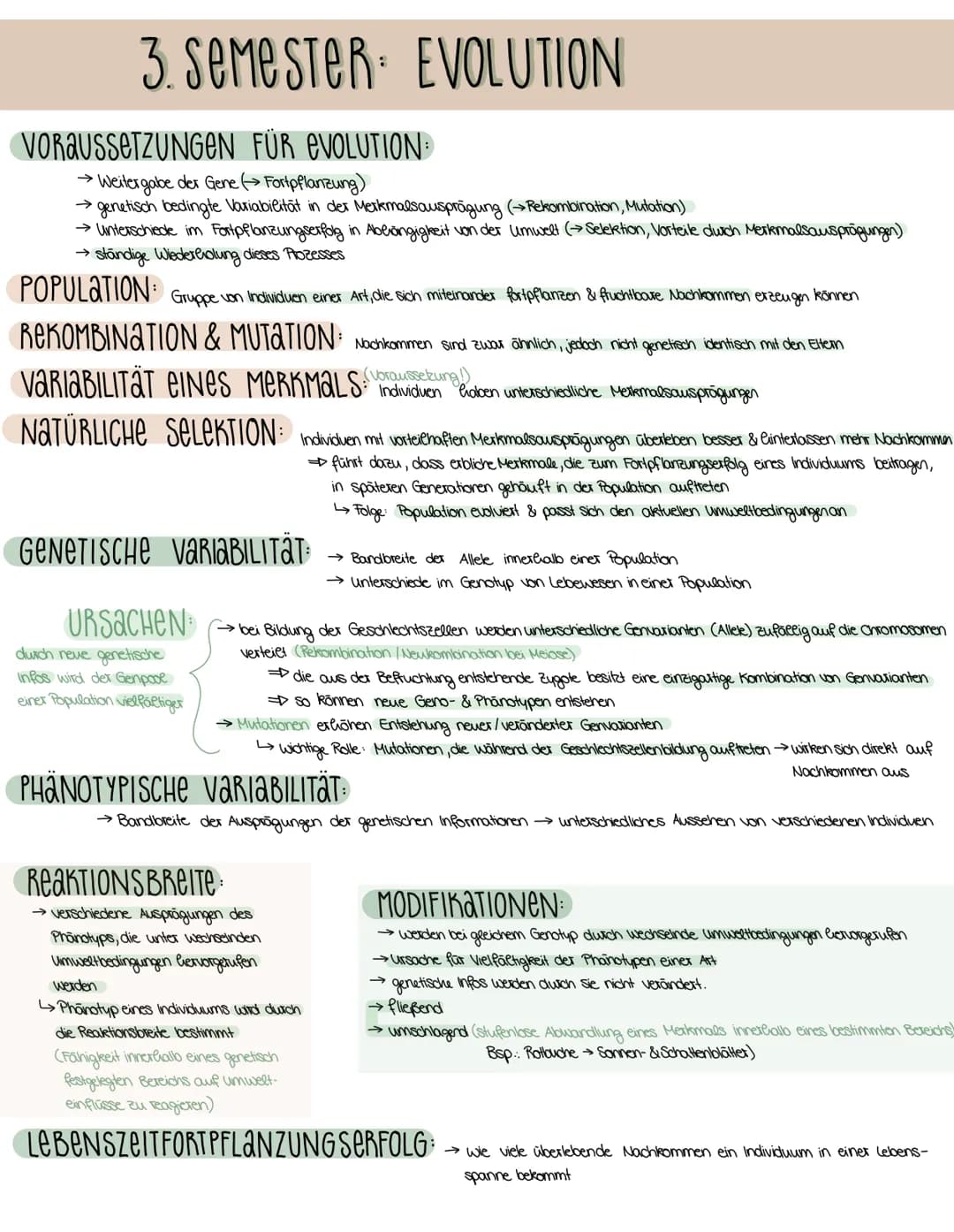 3. SEMESTER EVOLUTION
VORAUSSETZUNGEN FÜR EVOLUTION
→ Weitergabe der Gene (→→ Fortpflanzung)
→genetisch bedingte Variabilität in der Merkmal