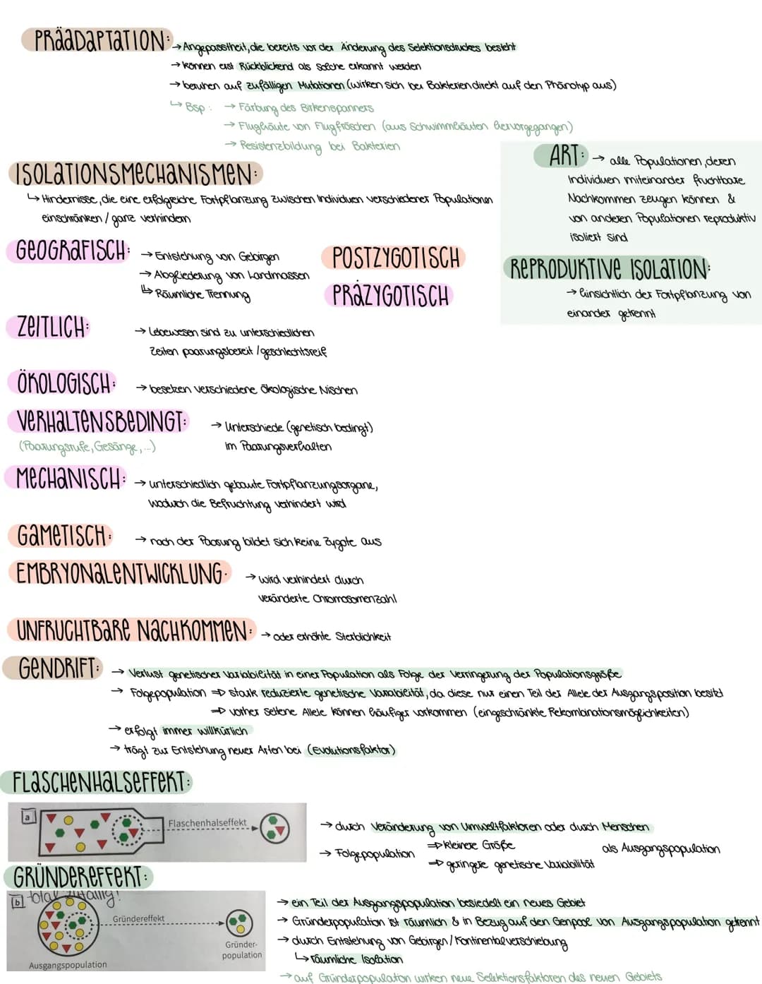3. SEMESTER EVOLUTION
VORAUSSETZUNGEN FÜR EVOLUTION
→ Weitergabe der Gene (→→ Fortpflanzung)
→genetisch bedingte Variabilität in der Merkmal