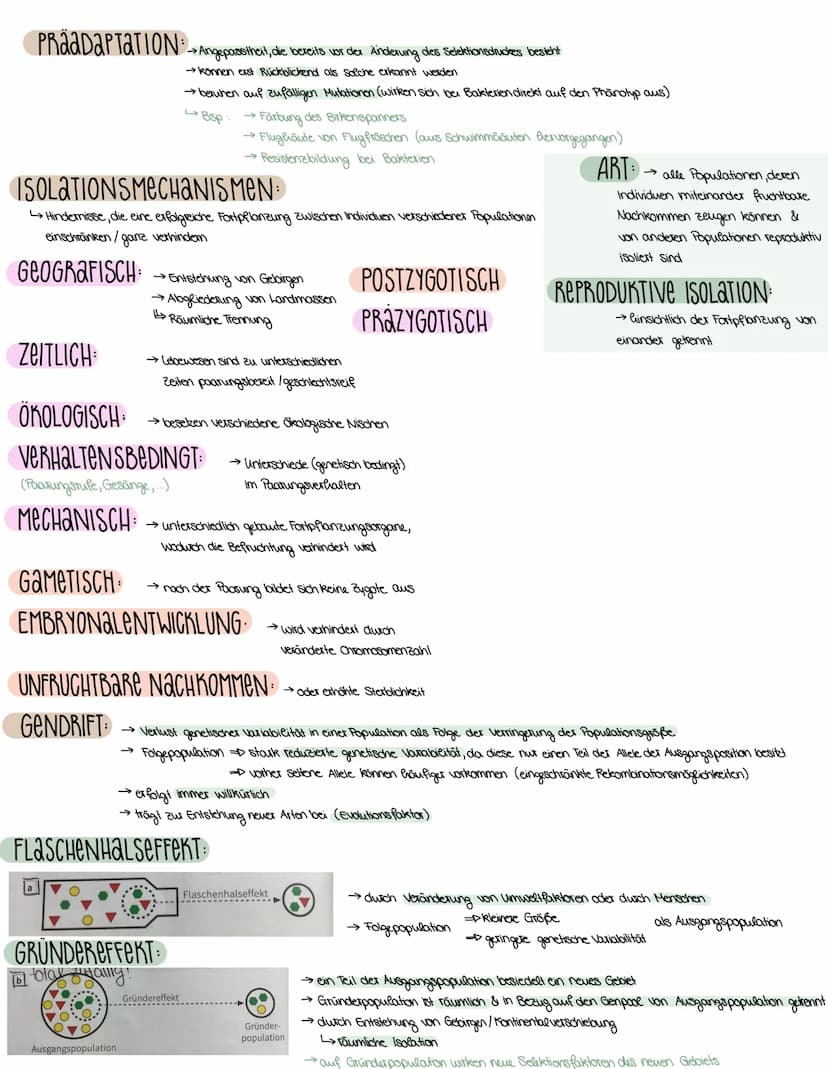 3. SEMESTER EVOLUTION
VORAUSSETZUNGEN FÜR EVOLUTION
→ Weitergabe der Gene (→→ Fortpflanzung)
→genetisch bedingte Variabilität in der Merkmal