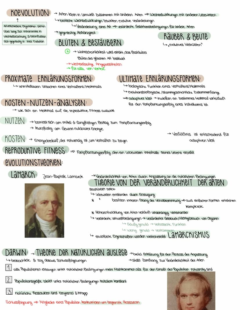 3. SEMESTER EVOLUTION
VORAUSSETZUNGEN FÜR EVOLUTION
→ Weitergabe der Gene (→→ Fortpflanzung)
→genetisch bedingte Variabilität in der Merkmal