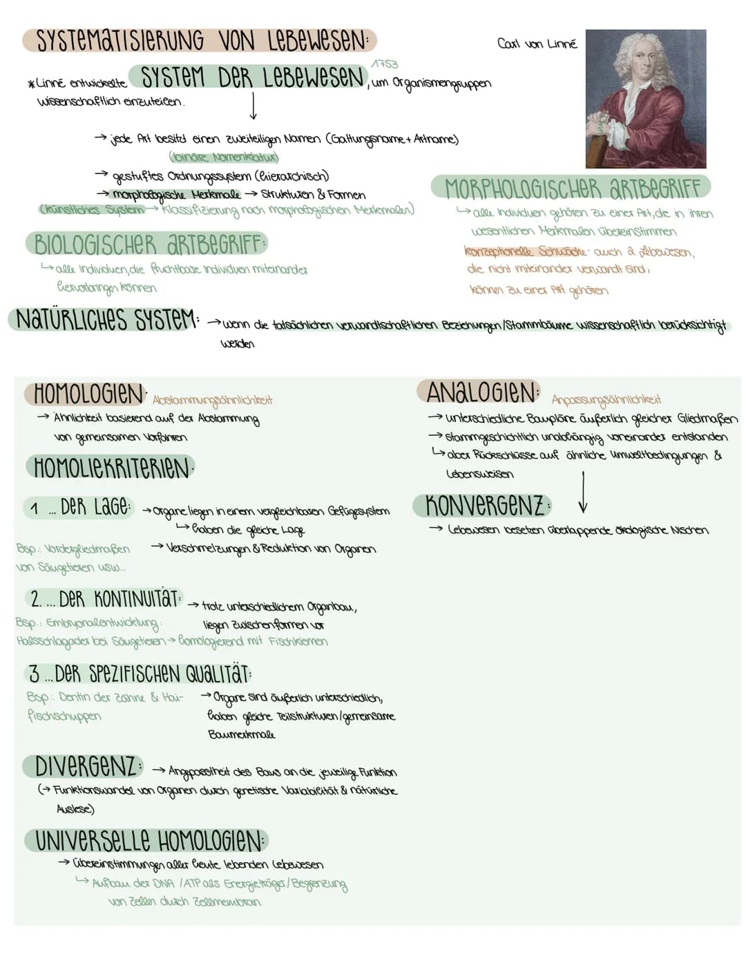 3. SEMESTER EVOLUTION
VORAUSSETZUNGEN FÜR EVOLUTION
→ Weitergabe der Gene (→→ Fortpflanzung)
→genetisch bedingte Variabilität in der Merkmal