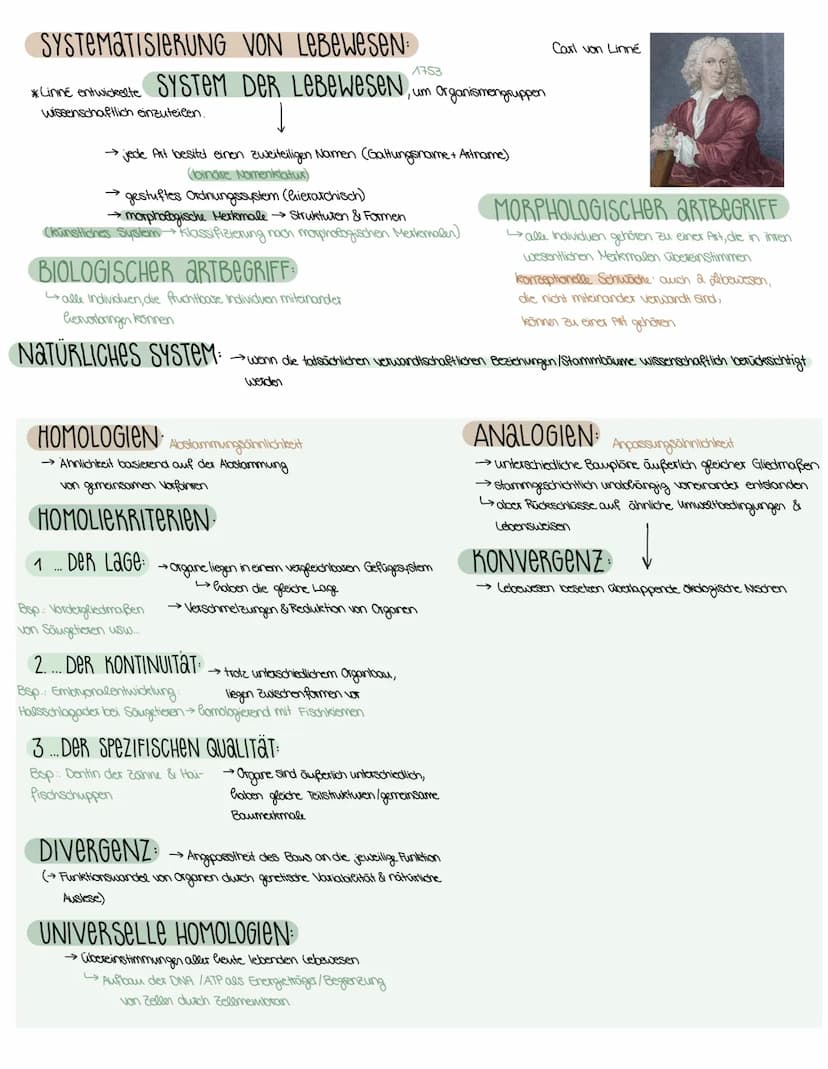 3. SEMESTER EVOLUTION
VORAUSSETZUNGEN FÜR EVOLUTION
→ Weitergabe der Gene (→→ Fortpflanzung)
→genetisch bedingte Variabilität in der Merkmal
