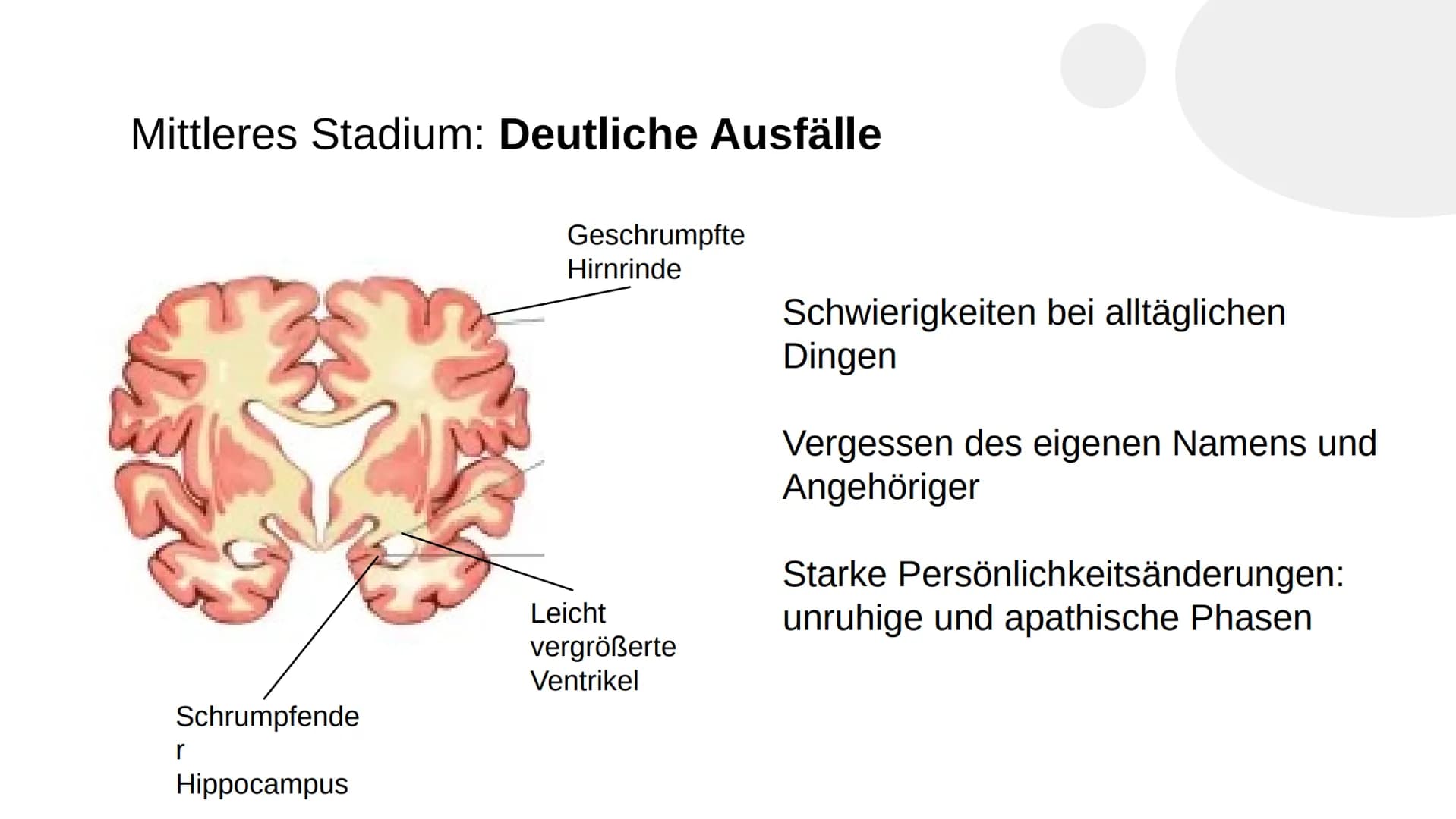 Wie heißen Sie?
,,Auguste"
Familienname?
,,Auguste"
Wie heißt Ihr Mann?
Auguste Deter zögert, antwortet schließlich:
,,Ich glaube... Auguste