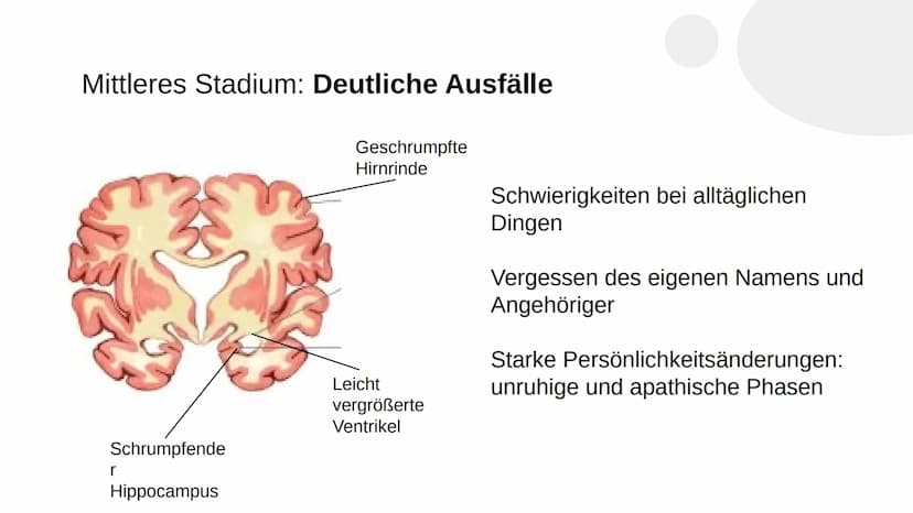 Wie heißen Sie?
,,Auguste"
Familienname?
,,Auguste"
Wie heißt Ihr Mann?
Auguste Deter zögert, antwortet schließlich:
,,Ich glaube... Auguste