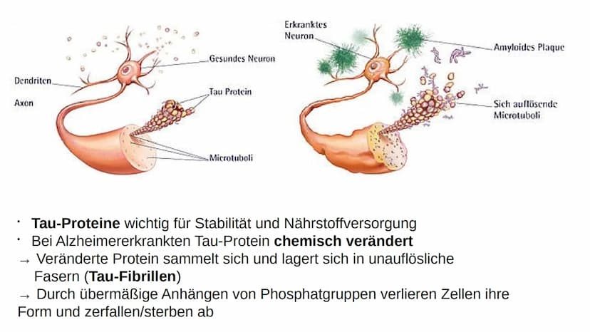 Wie heißen Sie?
,,Auguste"
Familienname?
,,Auguste"
Wie heißt Ihr Mann?
Auguste Deter zögert, antwortet schließlich:
,,Ich glaube... Auguste