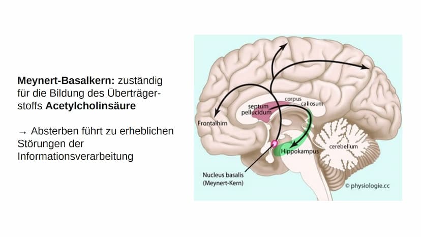 Wie heißen Sie?
,,Auguste"
Familienname?
,,Auguste"
Wie heißt Ihr Mann?
Auguste Deter zögert, antwortet schließlich:
,,Ich glaube... Auguste