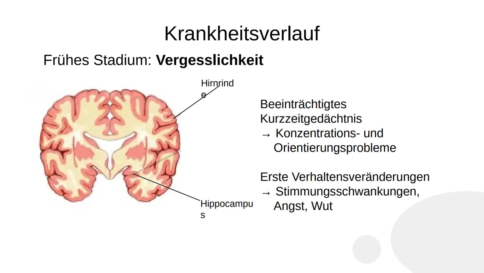 Wie heißen Sie?
,,Auguste"
Familienname?
,,Auguste"
Wie heißt Ihr Mann?
Auguste Deter zögert, antwortet schließlich:
,,Ich glaube... Auguste