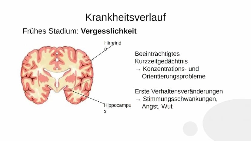 Wie heißen Sie?
,,Auguste"
Familienname?
,,Auguste"
Wie heißt Ihr Mann?
Auguste Deter zögert, antwortet schließlich:
,,Ich glaube... Auguste