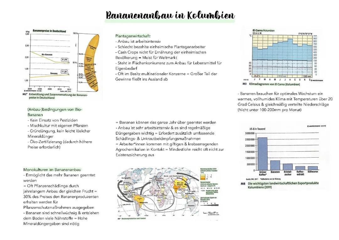 Bananenanbau in Kolumbien 