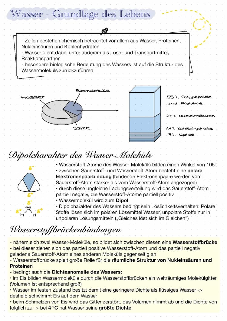 Know Grundlagen- Wasser,Lipide,Proteine,Kohlenhydrate,Biomembran thumbnail