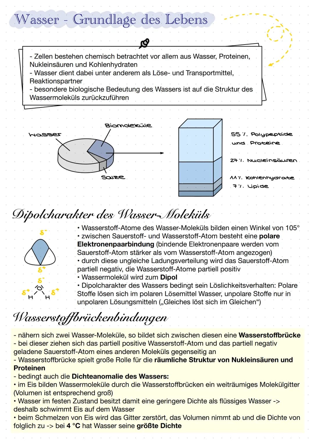 Wasser Grundlage des Lebens
- Zellen bestehen chemisch betrachtet vor allem aus Wasser, Proteinen,
Nukleinsäuren und Kohlenhydraten
- Wasser