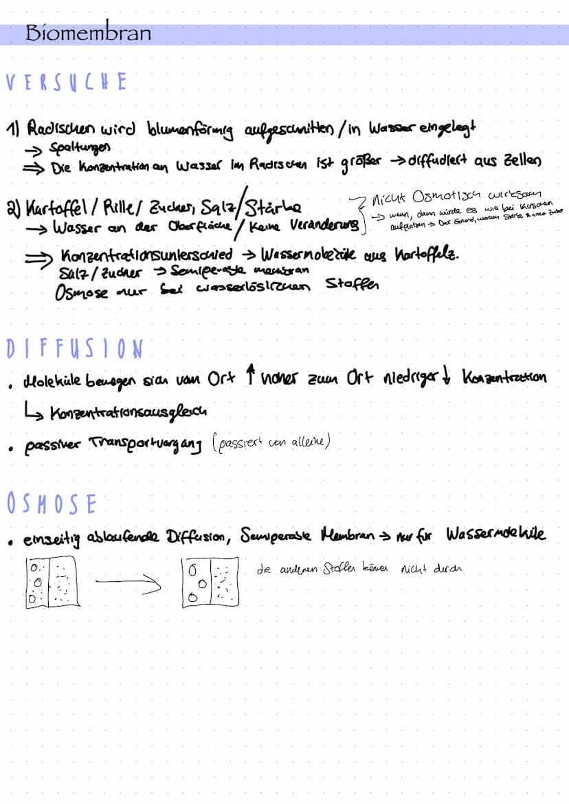  Zellorganell
Ribosomen
Mitochondrien
Cytoskelett
Zellkern
Endoplasmatisches
Retikulum
Chloroplast
Dictyosom
Zellbiologie
Bau und Funktion v