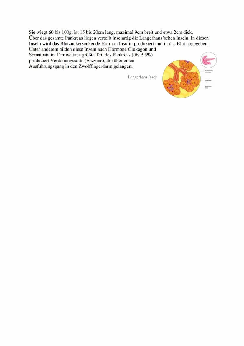 Diabetes Mellitus
Definition:
Diabetes Mellitus auch ,,Zuckerkrankheit" genannt ist ein
Überbegriff für verschiedene Erkrankungen des
Stoffw