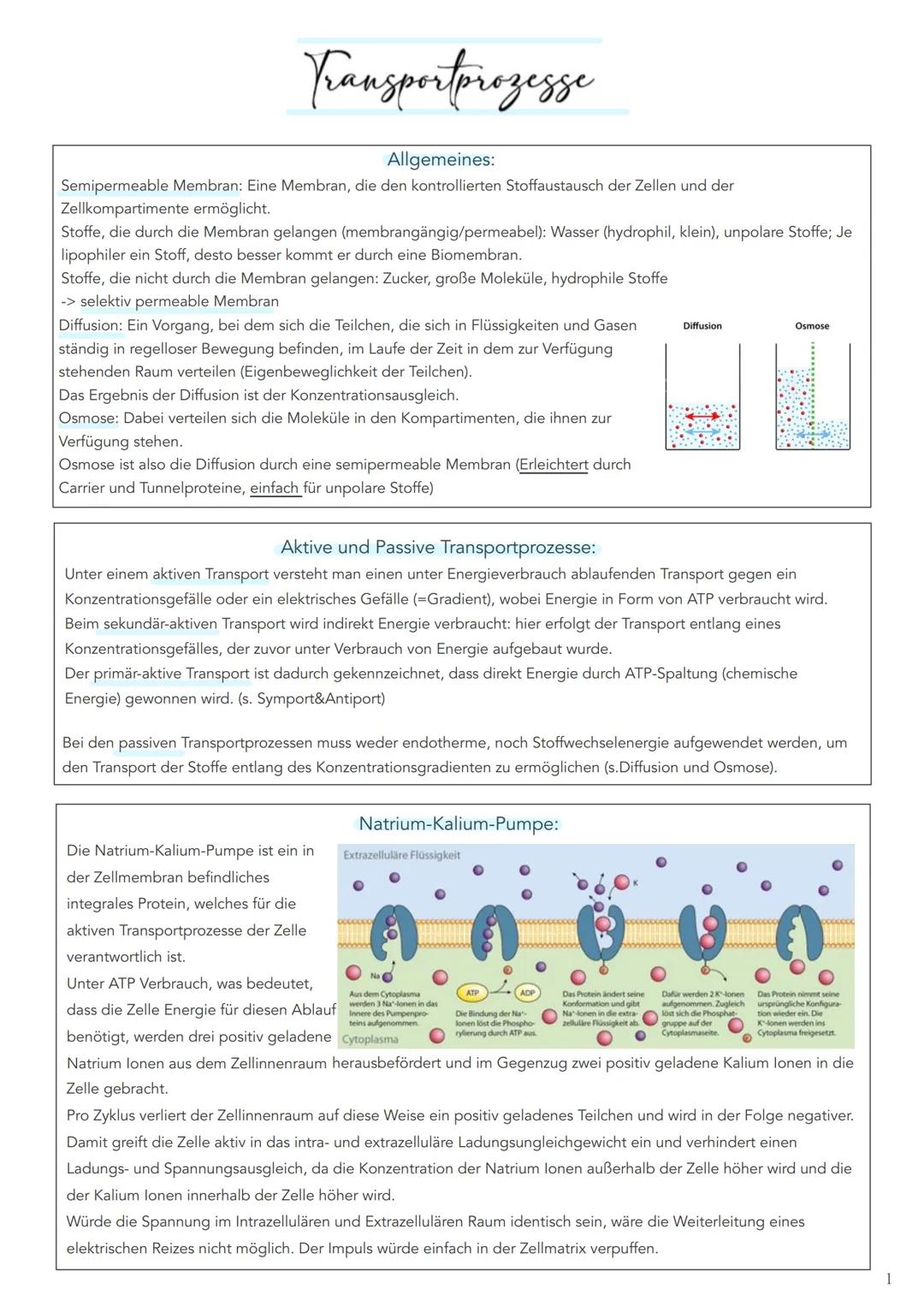 Transportprozesse Übersicht
