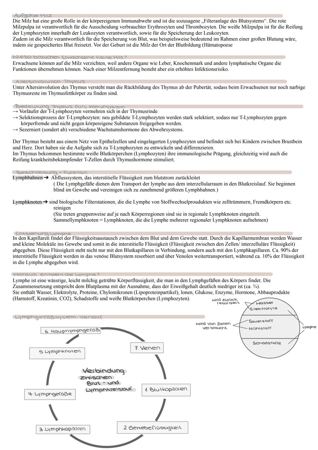 feste Bestandteile
(zelluläre Bestandteile / Blutzellen /- körperchen)
ca. 45%
Erythrozyten (rote Blutzellen / -körperchen)
→ 99% aller Blut