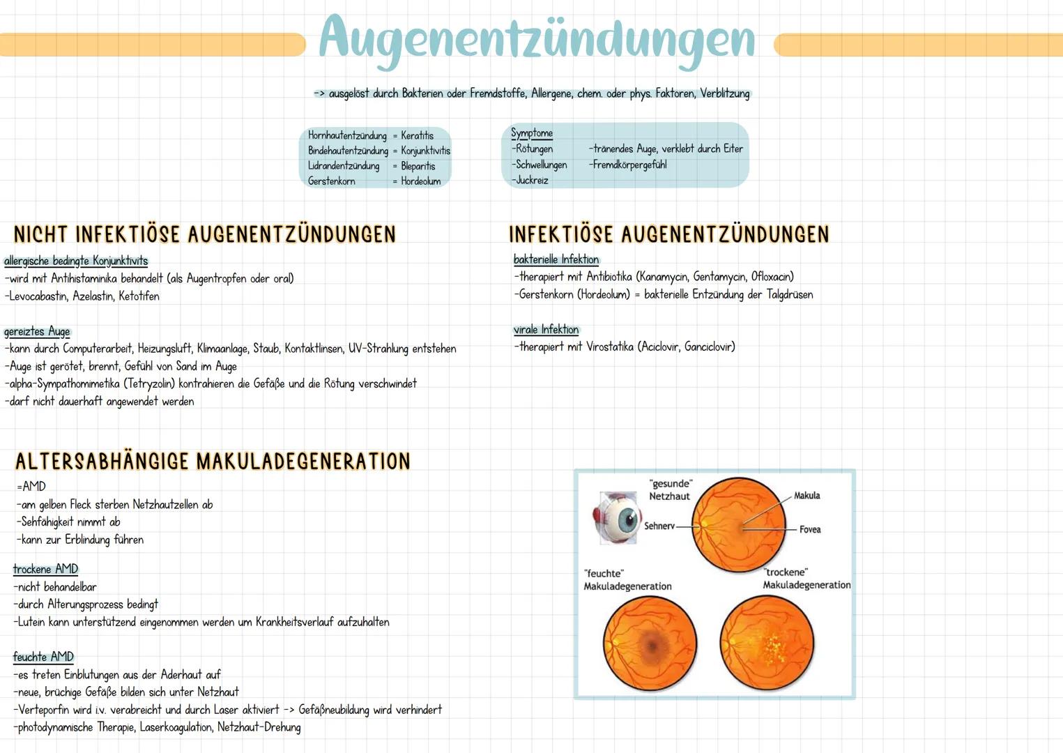 Das Auge
AUFGABEN
-Wahrnehmung von:
-> Helligkeit/Licht
-> Entfernung/Bewegung
-> Farben
-> 3D-Sehen (räumliches Bild)
AUFBAU
-Augapfel umge