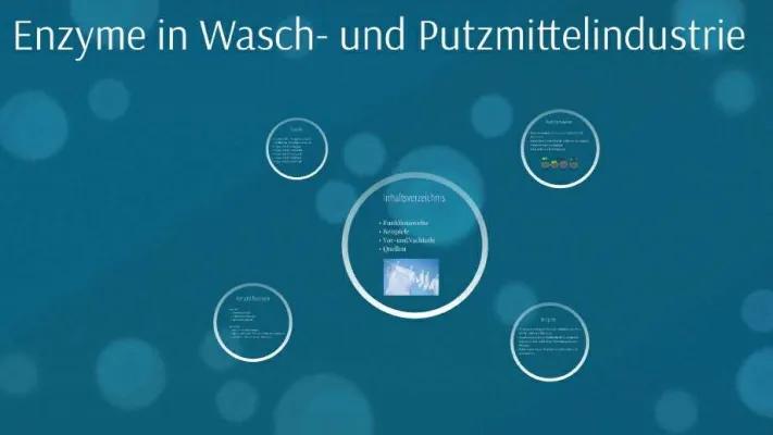 Know Präsentation: Enzyme in Wasch-und Putzmittelindustrie thumbnail