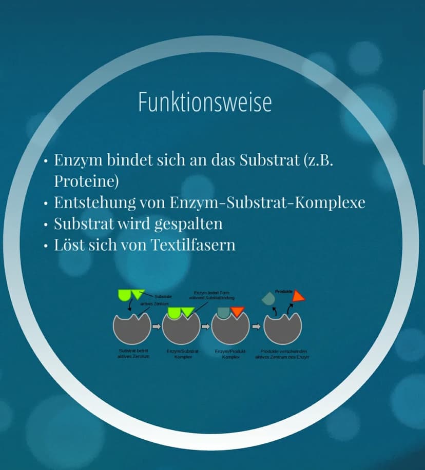 Enzyme in Wasch- und Putzmittelindustrie
und Nach
Inhaltsverzeichnis
- Funktionsweise
Beispiele
Vor-und Nachteile
- Quellen Inhaltsverzeichn