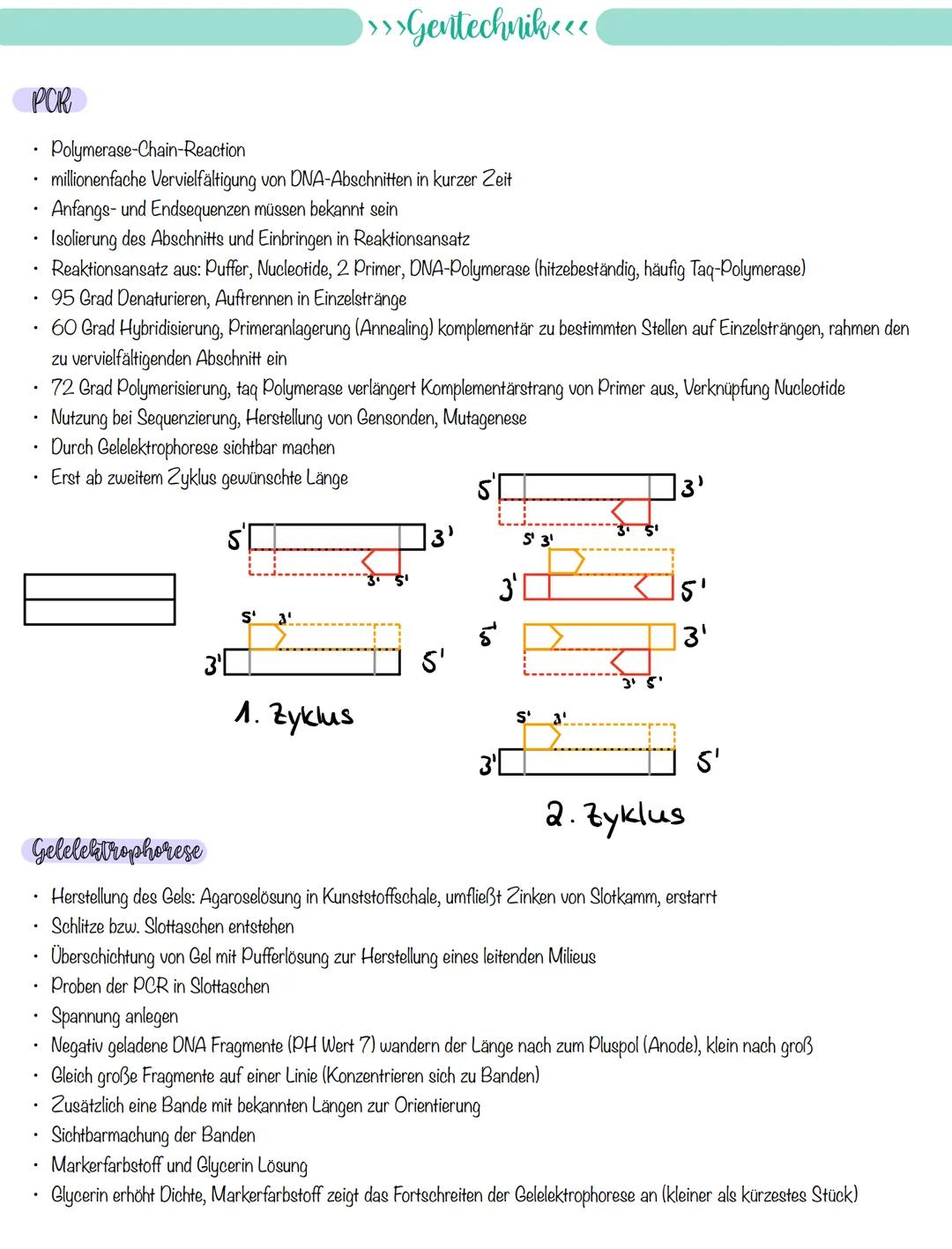 
<p>If you need a comprehensive summary of genetics in biology, you can download a helpful PDF document on "genetik biologie klasse 10 zusam