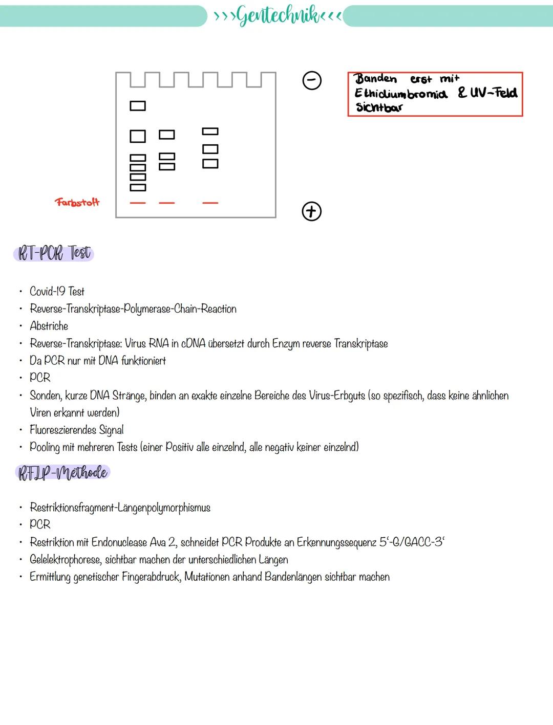 
<p>If you need a comprehensive summary of genetics in biology, you can download a helpful PDF document on "genetik biologie klasse 10 zusam