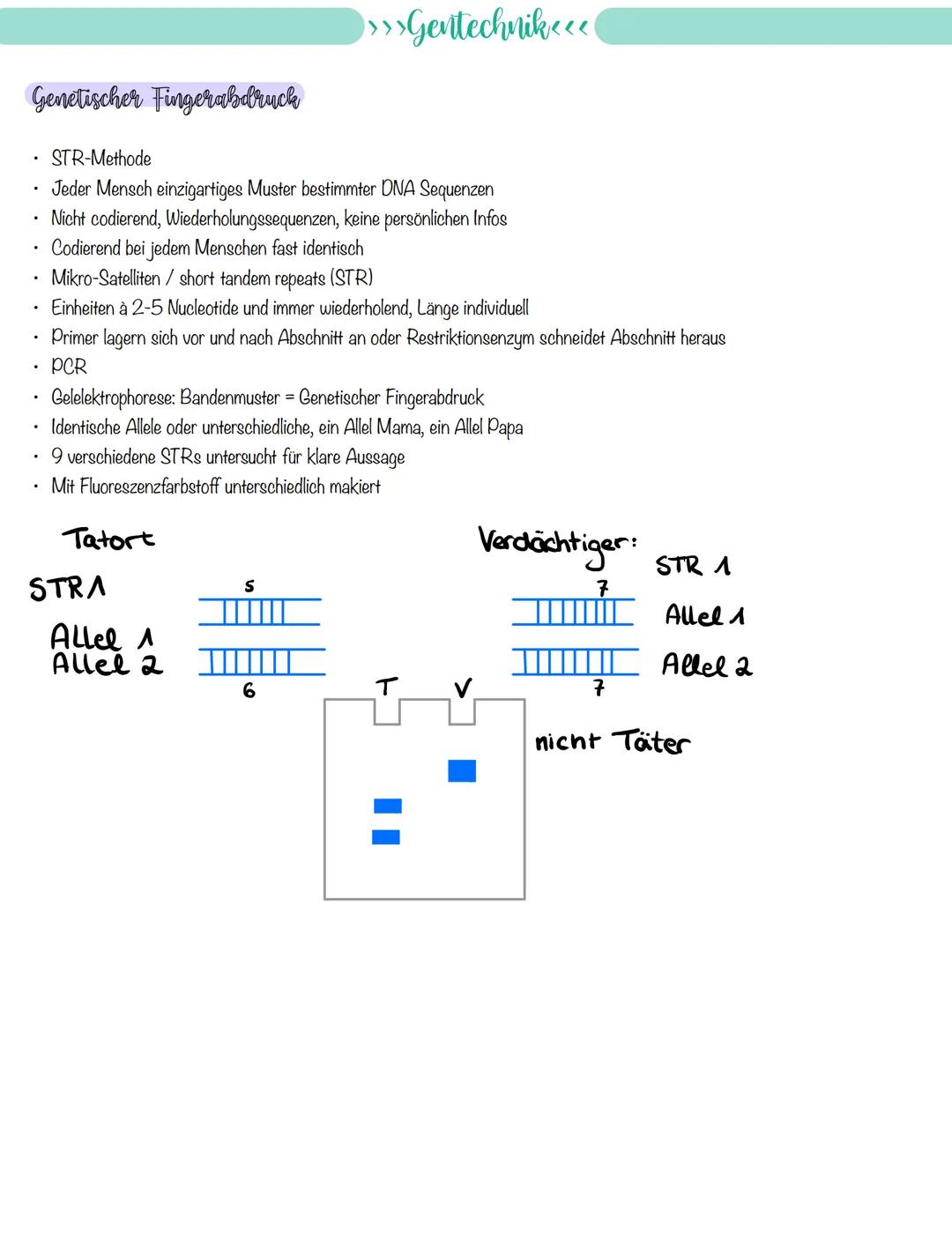 
<p>If you need a comprehensive summary of genetics in biology, you can download a helpful PDF document on "genetik biologie klasse 10 zusam