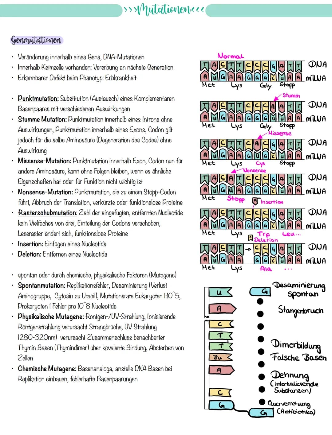 
<p>If you need a comprehensive summary of genetics in biology, you can download a helpful PDF document on "genetik biologie klasse 10 zusam