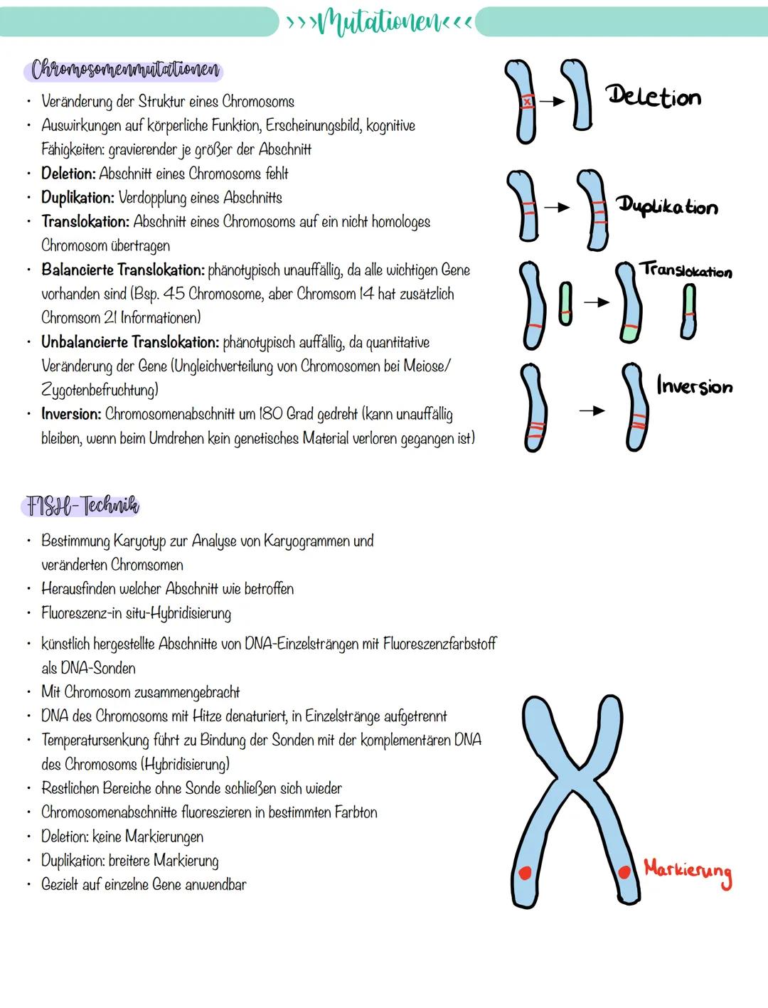 
<p>If you need a comprehensive summary of genetics in biology, you can download a helpful PDF document on "genetik biologie klasse 10 zusam