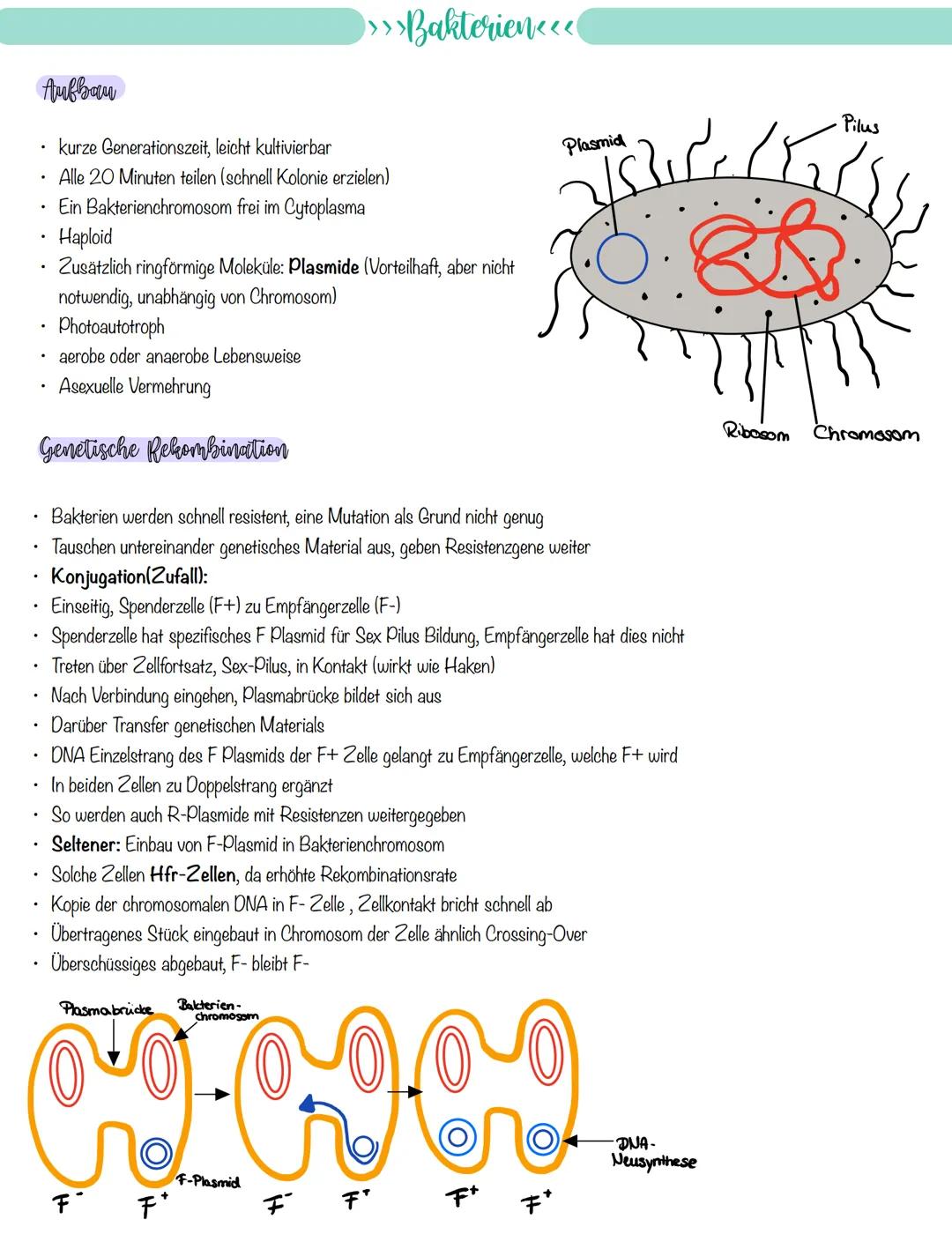 
<p>If you need a comprehensive summary of genetics in biology, you can download a helpful PDF document on "genetik biologie klasse 10 zusam