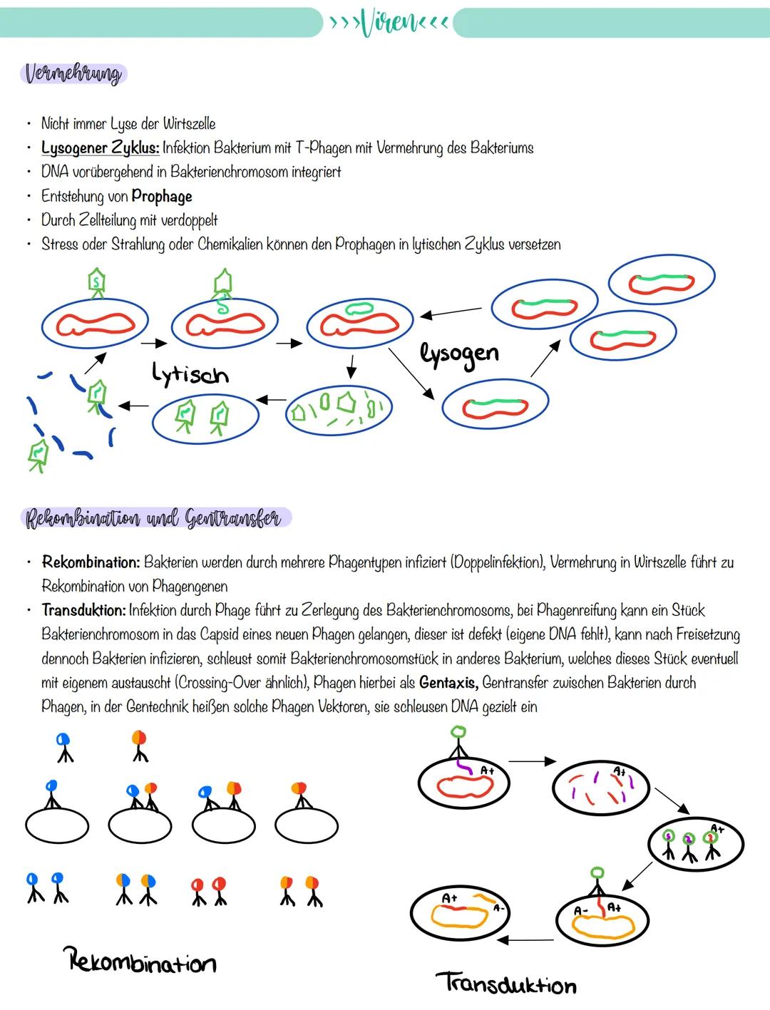 
<p>If you need a comprehensive summary of genetics in biology, you can download a helpful PDF document on "genetik biologie klasse 10 zusam