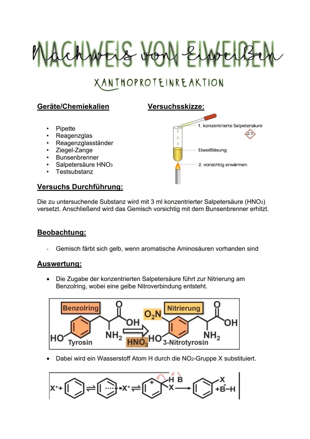 "NACHWEIS VON ELWELREAL
BIURETREAKTION
Geräte/Chemiekalien
Reagenzglas + Stopfen
●
Pipette
Natriumhydroxidlösung
Kupfersulfat
Testsubstanz
B