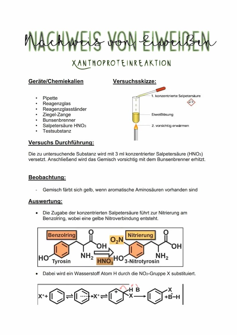 "NACHWEIS VON ELWELREAL
BIURETREAKTION
Geräte/Chemiekalien
Reagenzglas + Stopfen
●
Pipette
Natriumhydroxidlösung
Kupfersulfat
Testsubstanz
B