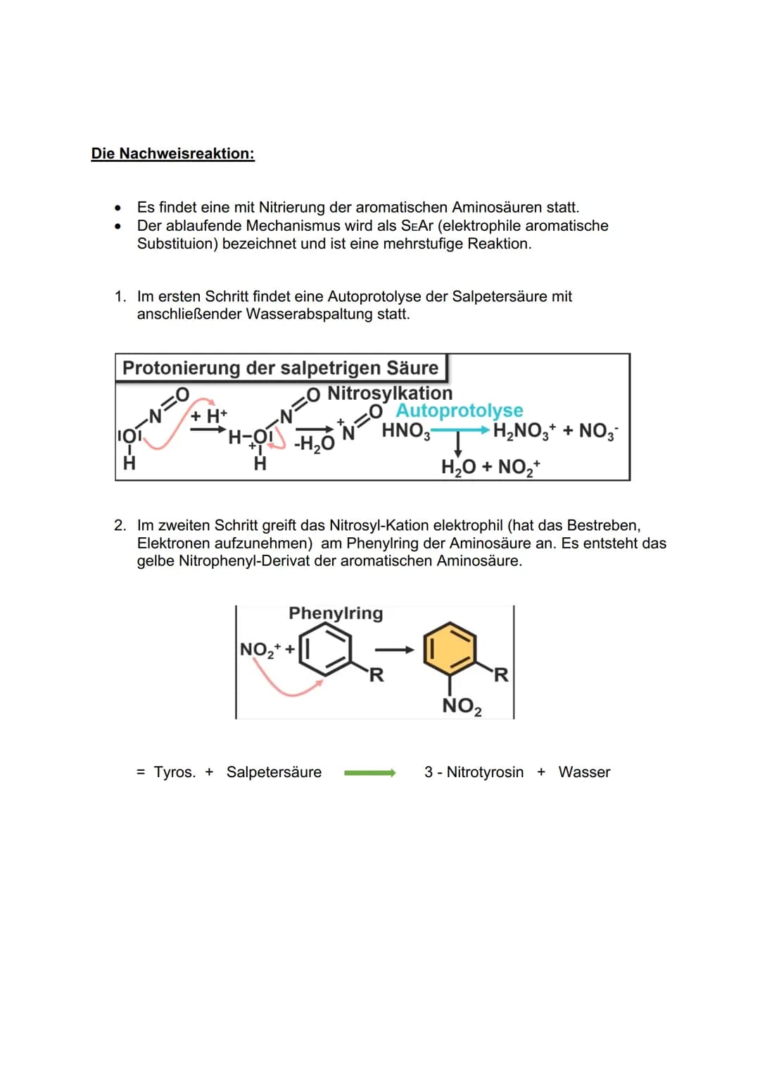 "NACHWEIS VON ELWELREAL
BIURETREAKTION
Geräte/Chemiekalien
Reagenzglas + Stopfen
●
Pipette
Natriumhydroxidlösung
Kupfersulfat
Testsubstanz
B